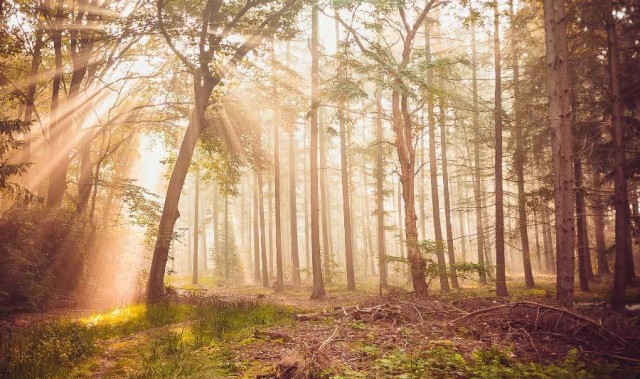 朱婷在意甲联赛单场斩获三十八分