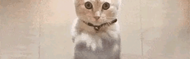 加盟德甲仅4月，28岁樊振东回归全运会，让人欣慰的一幕出现了