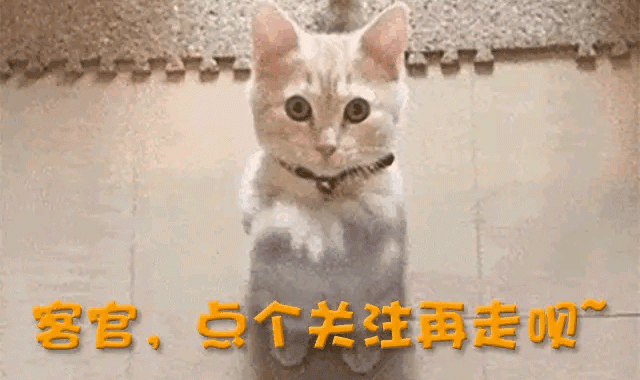 加盟德甲仅4月，28岁樊振东回归全运会，让人欣慰的一幕出现了